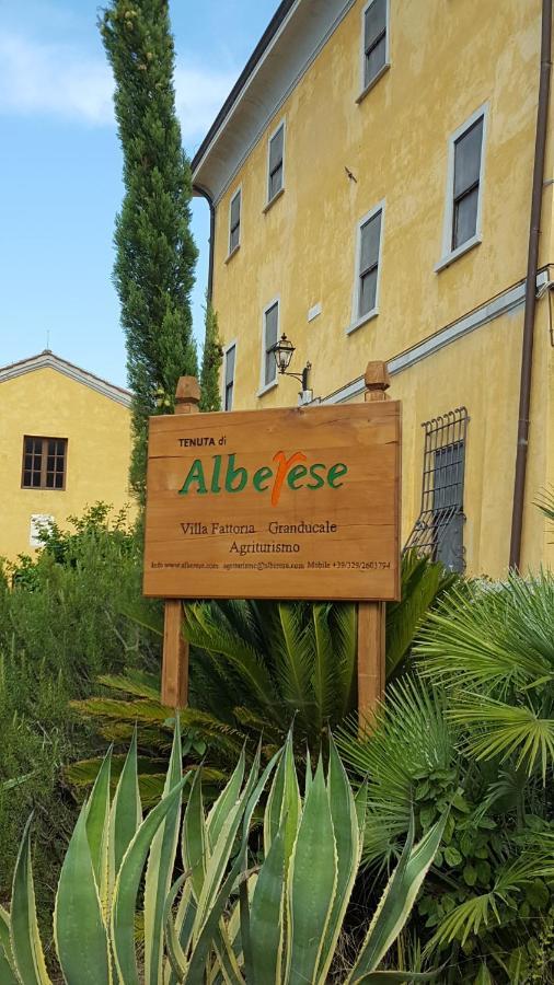 Terre Regionali Toscane Alberese Kültér fotó